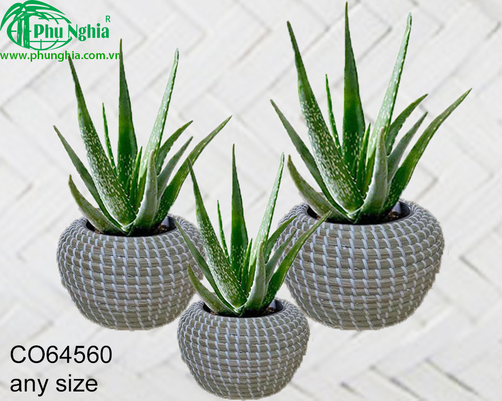 Phu Nghia Baroproduct co.,ltd